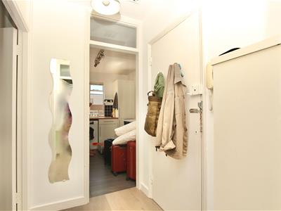 Picture 3